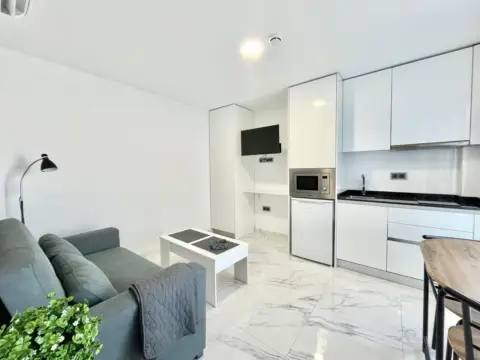 Estudio en Torrevieja