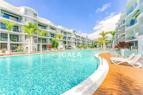 Ático en Avenida Palm-mar