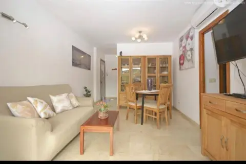 Piso en Platja d'Alcúdia-Port d'Alcúdia