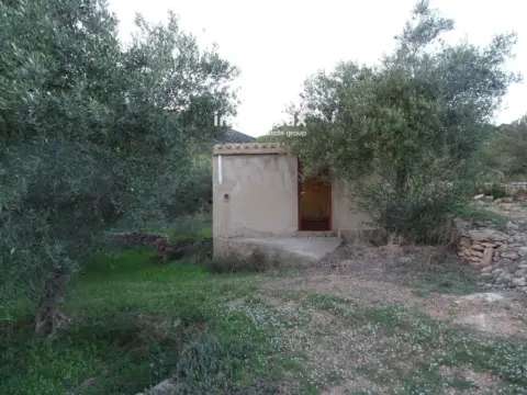 Finca rústica en Xerta