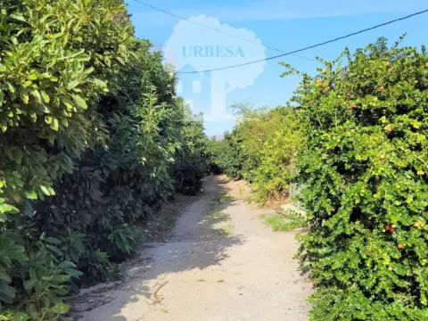 Terreno en calle Dehesa