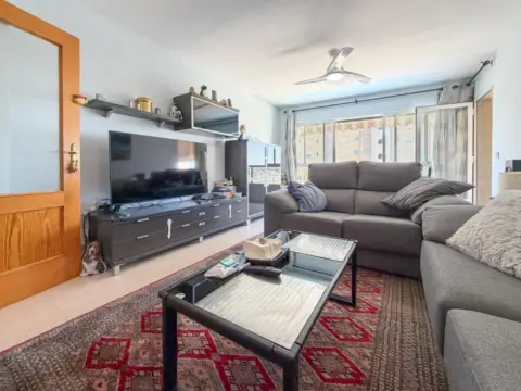 Apartamento en Playa Muchavista
