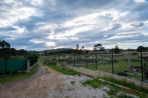 Terreno en calle Careñes, nº Sin Informacion