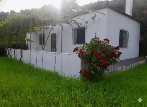 Finca rústica en Entrada Al Pueblo