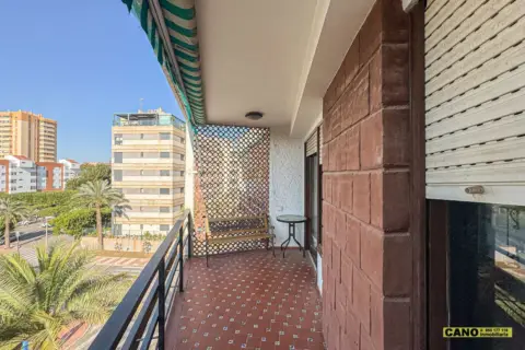 Piso en Paseo del Palmeral