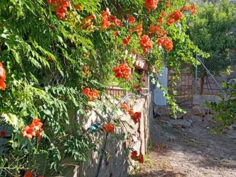 Finca rústica en Los Montoros