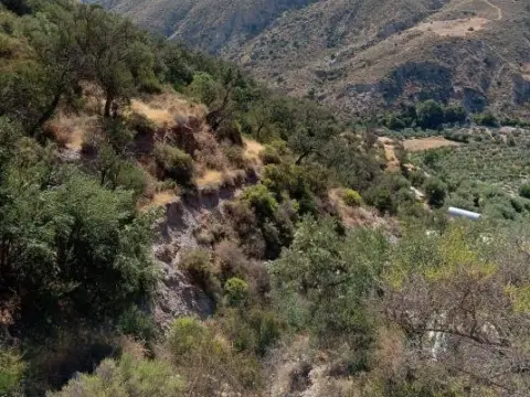 Finca rústica en Los Montoros