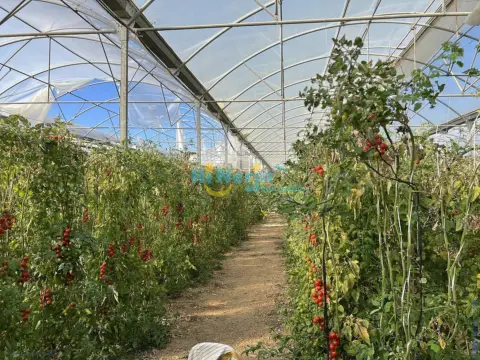 Terreno en Algarrobo