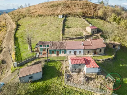 Pis – Langreo