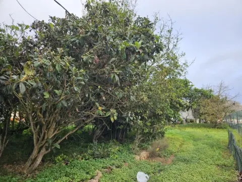 Terreno en calle Cm San Lazaro