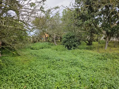 Terreno en calle Cm San Lazaro