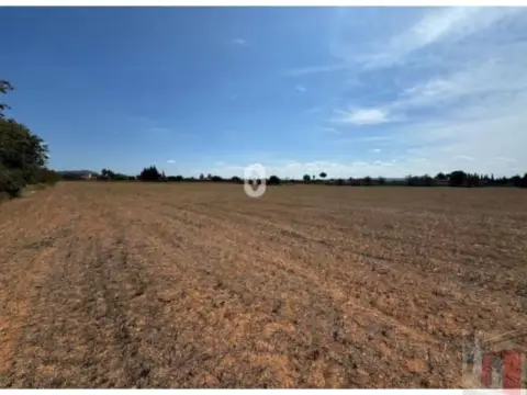 Finca rústica en Ctra. Munera