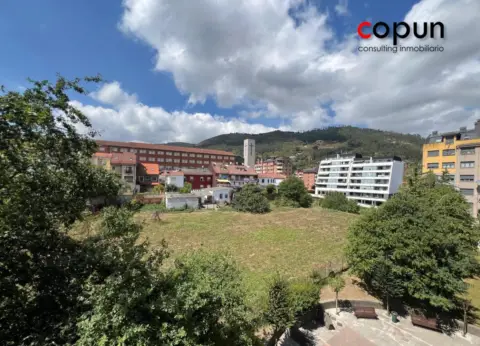 Piso en Ciudad-Naranco-Vallobín