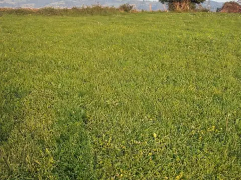 Terreno en calle Huerto de  Junto A Casa, nº Sin Informacion
