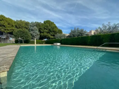 Apartamento en Campello Playa