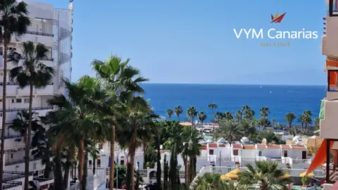 Estudio en Costa Adeje