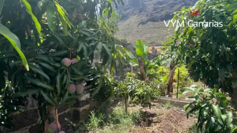 Casa en La Caleta de Interián