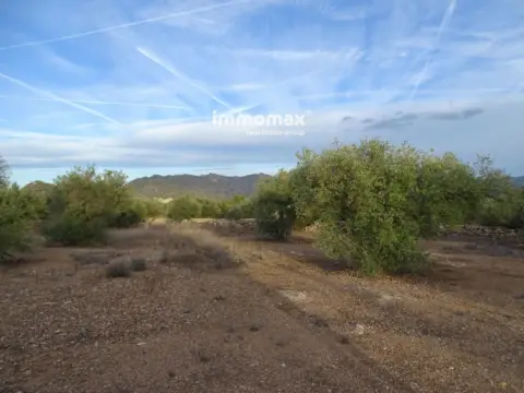 Finca rústica en Xerta