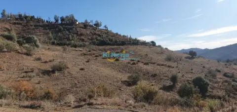 Terreno en Comares, en El Campo, Zona Rural