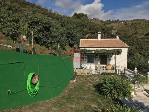 Finca rústica en Sayalonga, en El Campo, Zona Rural, Pueblo, Montaña