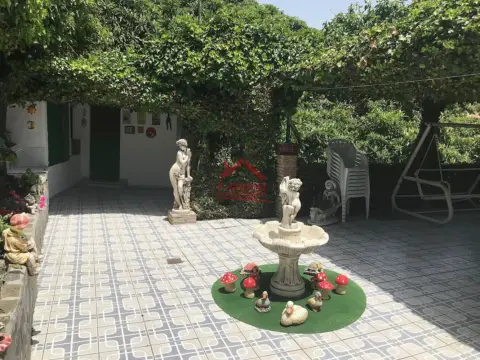 Finca rústica en Sayalonga, en El Campo, Zona Rural, Pueblo, Montaña