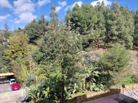 Piso en Carretera de Ojén