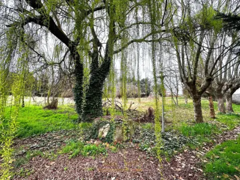 Chalet en Lugar del Paraje las Pellejonas, 27