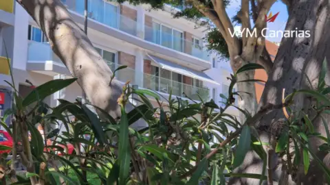 Apartamento en Villa de Adeje