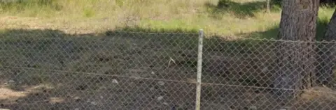 Terreno en Abrera