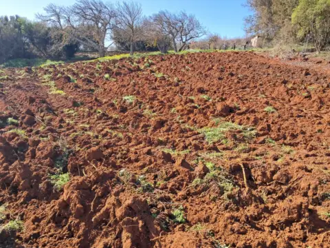 Terreno en La Esperanza