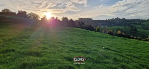 Terreno en calle Vió, nº Sin Informacion