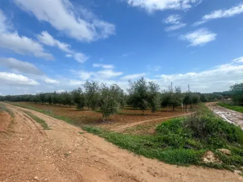 Terreno en Mollina