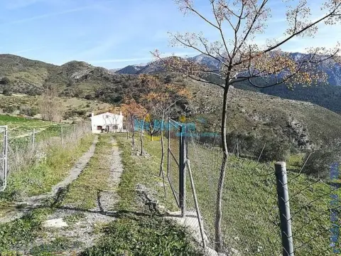 Finca rústica en Alcaucín