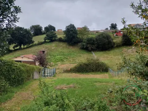 Terreno en calle La Llomba, nº Sin Informacion