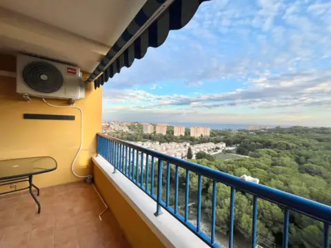 Apartamento en Dehesa de Campoamor