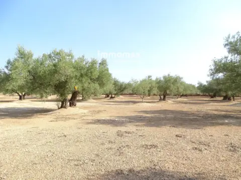 Finca rústica en Aldover