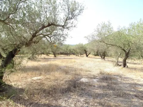 Finca rústica en Xerta