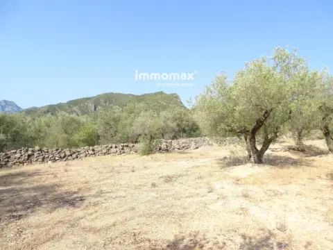Finca rústica en Xerta