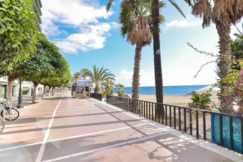 Local comercial en Casco Antiguo