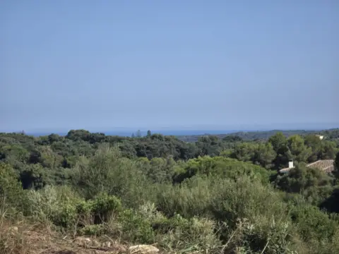 Terreno en Sotogrande Alto