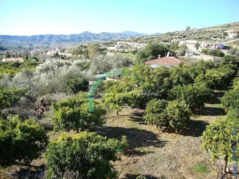 Terreno en Venta Baja