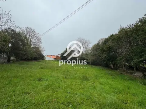 Terreno en calle Cardoso