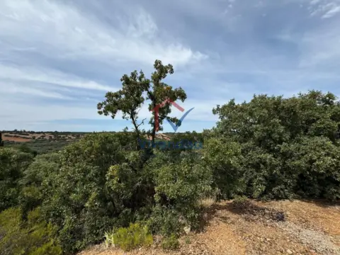 Terreno en calle de las Encinas