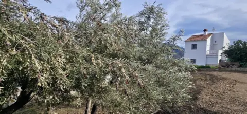 Casa en , en El Campo, Zona Rural