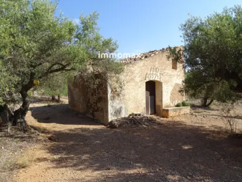 Finca rústica en Xerta