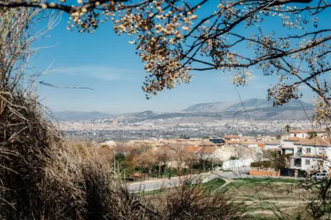 Piso en Camino del Alhendín