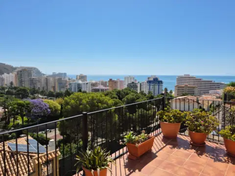 Casa en calle Cullera Park