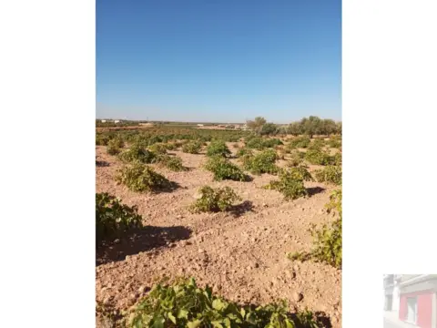 Finca rústica en Ctra. Las Mesas