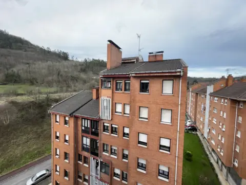 Piso en calle Bo Cobranes