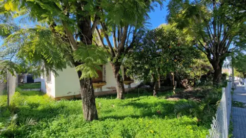 Finca rústica en Valencina de la Concepción